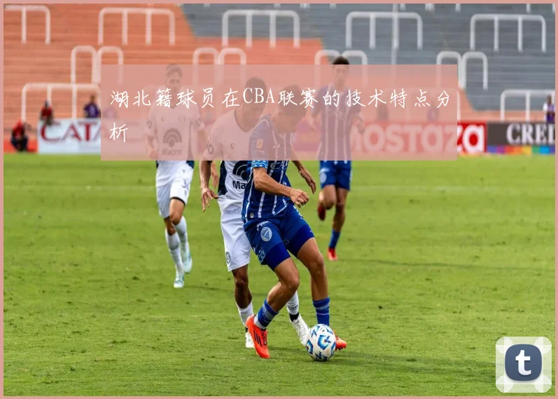 湖北籍球员在CBA联赛的技术特点分析