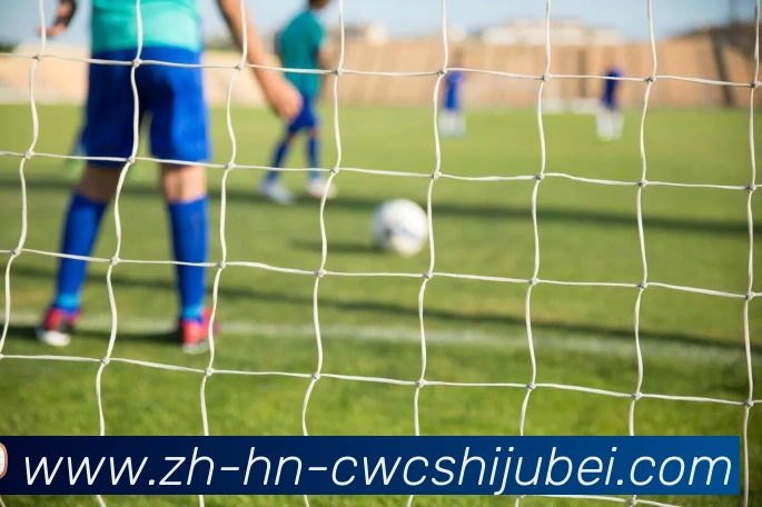 世界杯买球APP 体育赛事宣传图